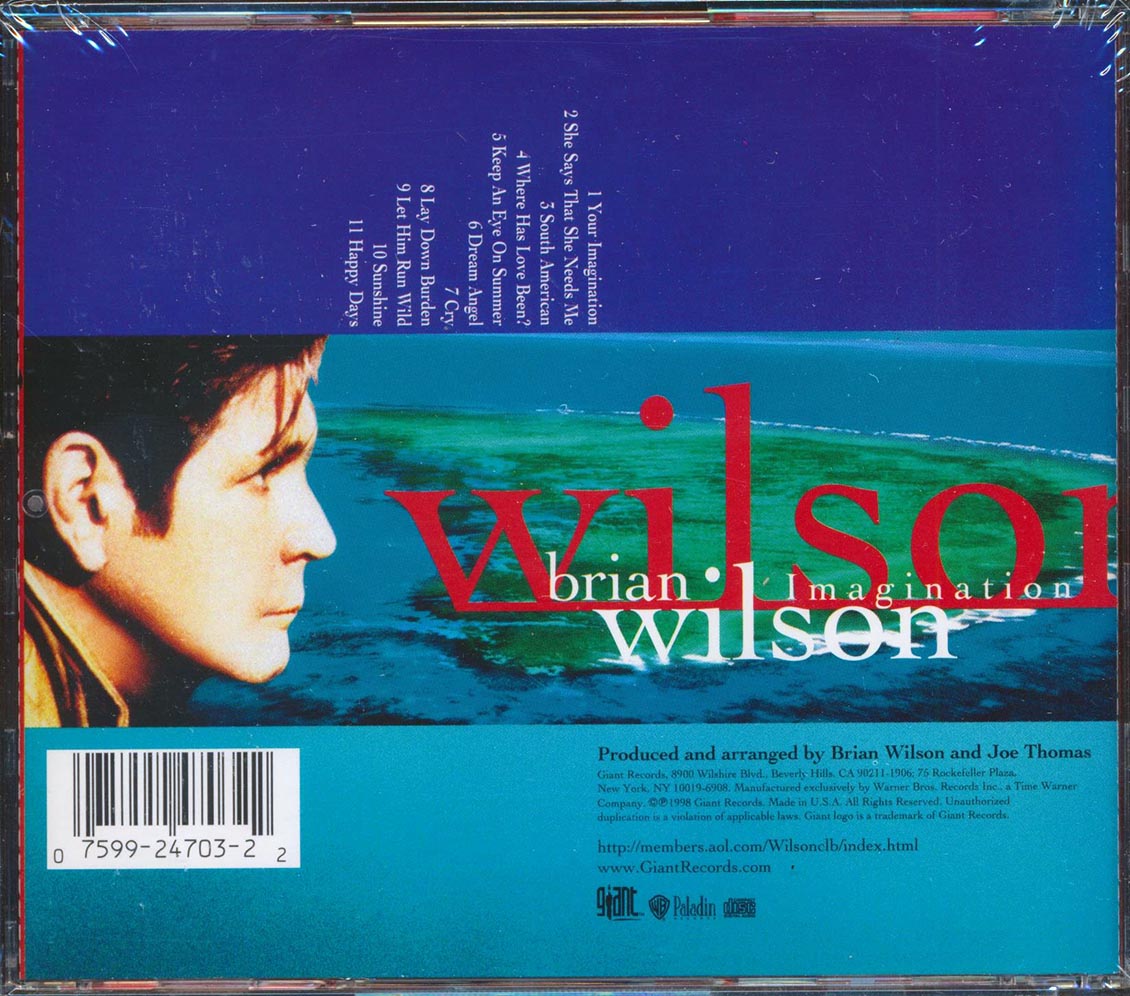 Brian Wilson - Imagination (promo)