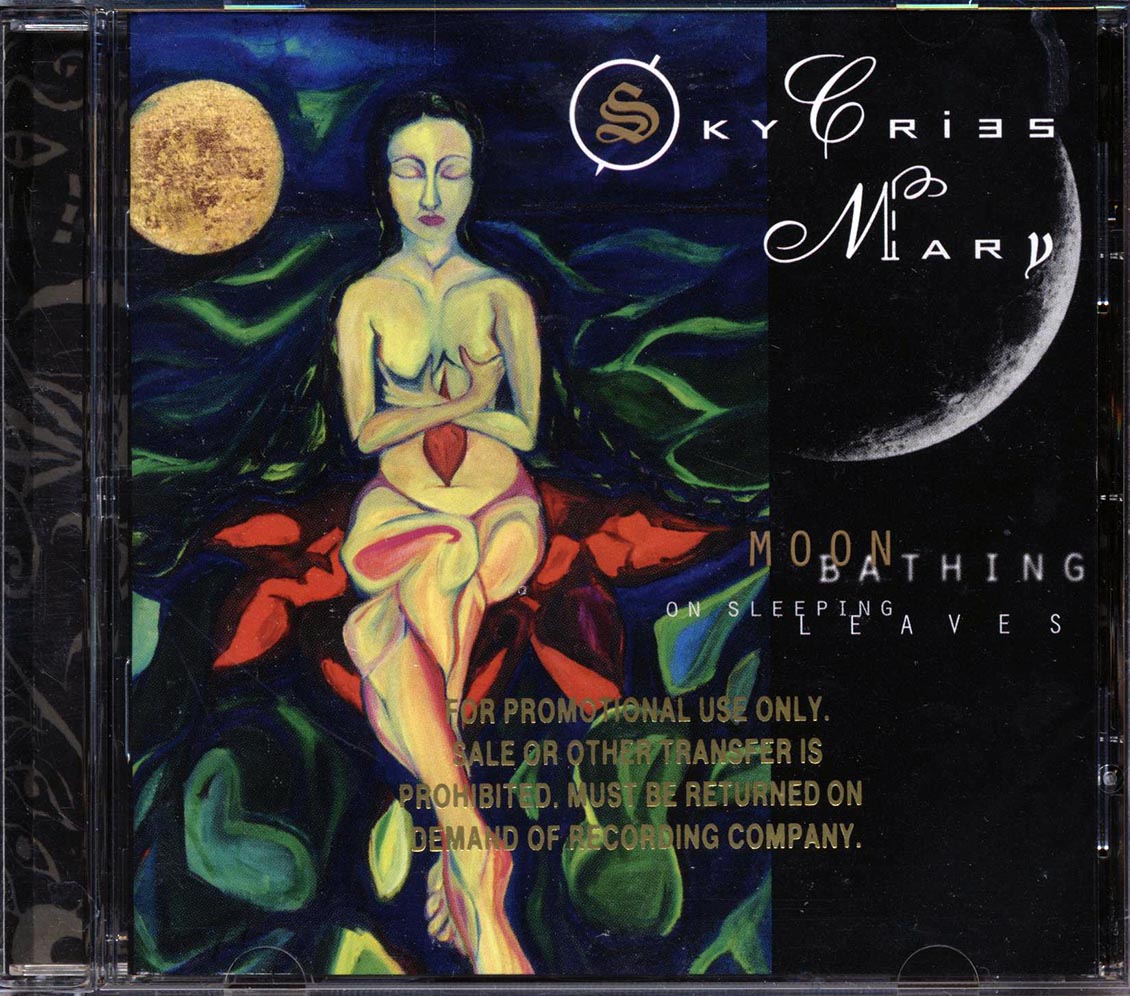 Sky Cries Mary - Moonbathing On Sleeping Leaves (promo)