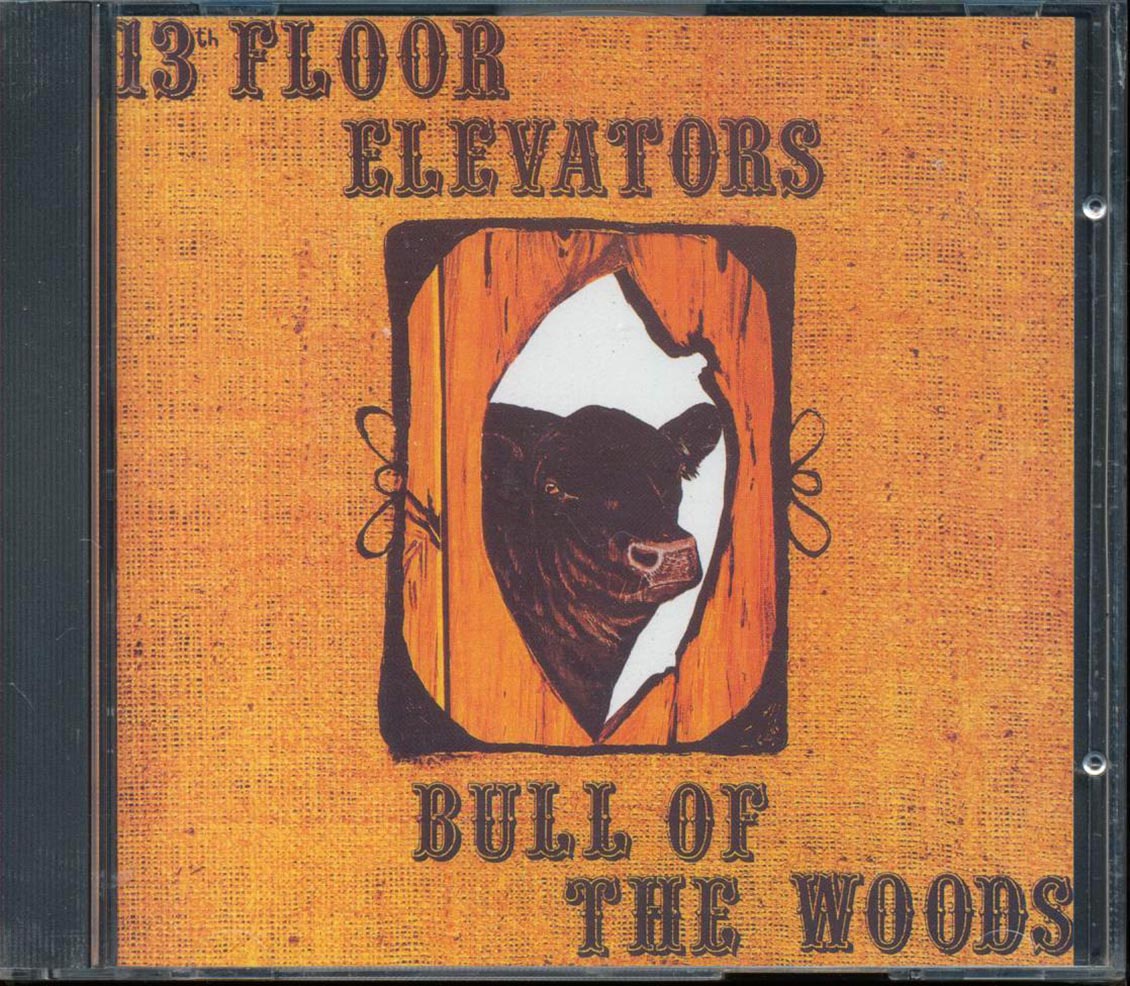 The 13th Floor Elevators - Bull Of The Woods