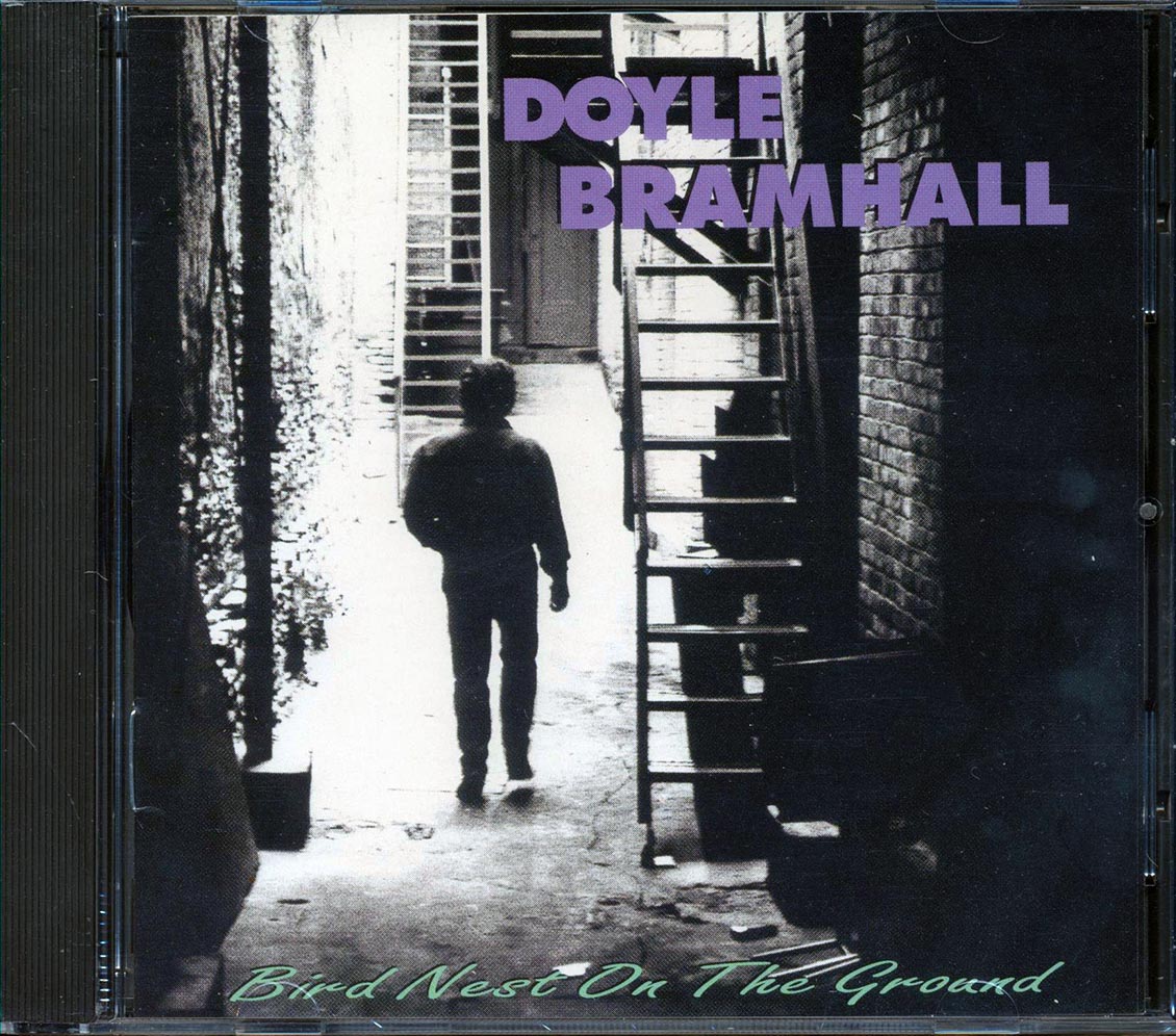 Doyle Bramhall - Bird Nest On The Ground