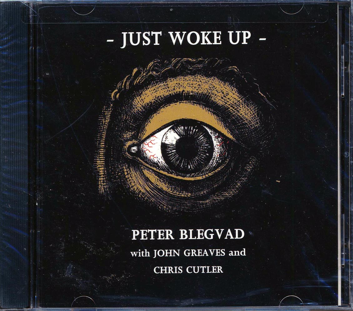 Peter Blegvad - Just Woke Up