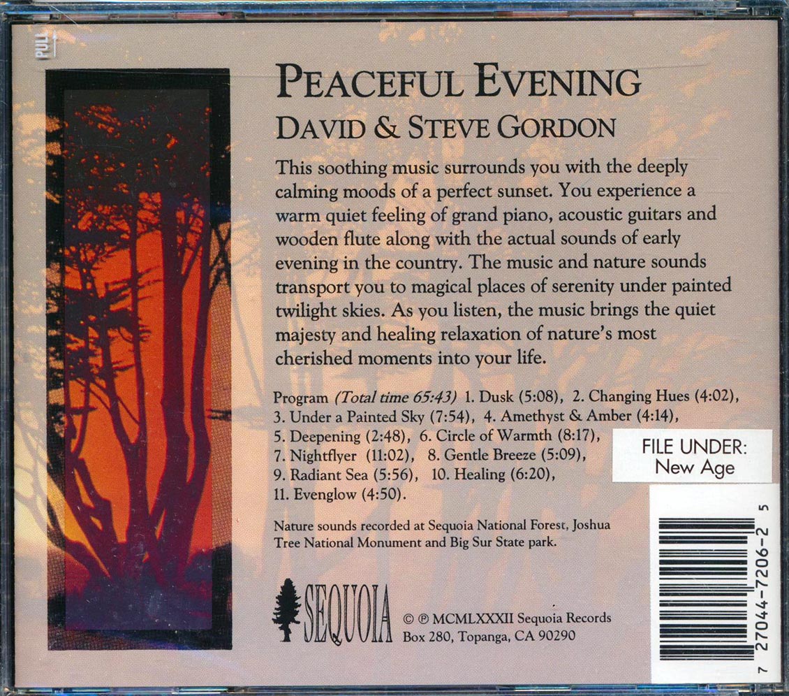 David & Steve Gordon - Peaceful Evening: Piano, Acoustic Guitar, Wooden Flute & Sounds Of Nature