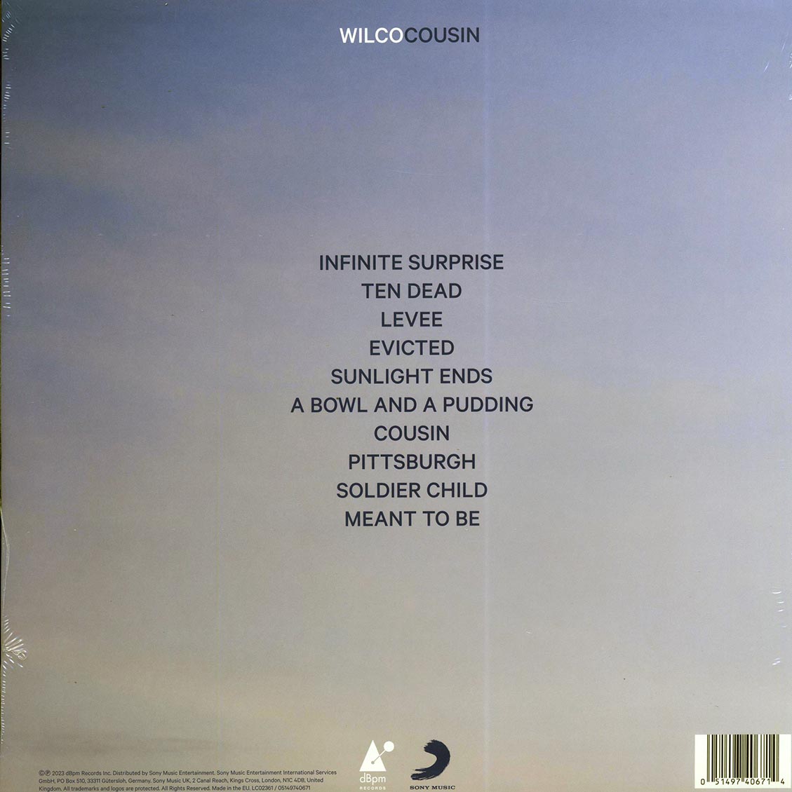 Wilco - Cousin