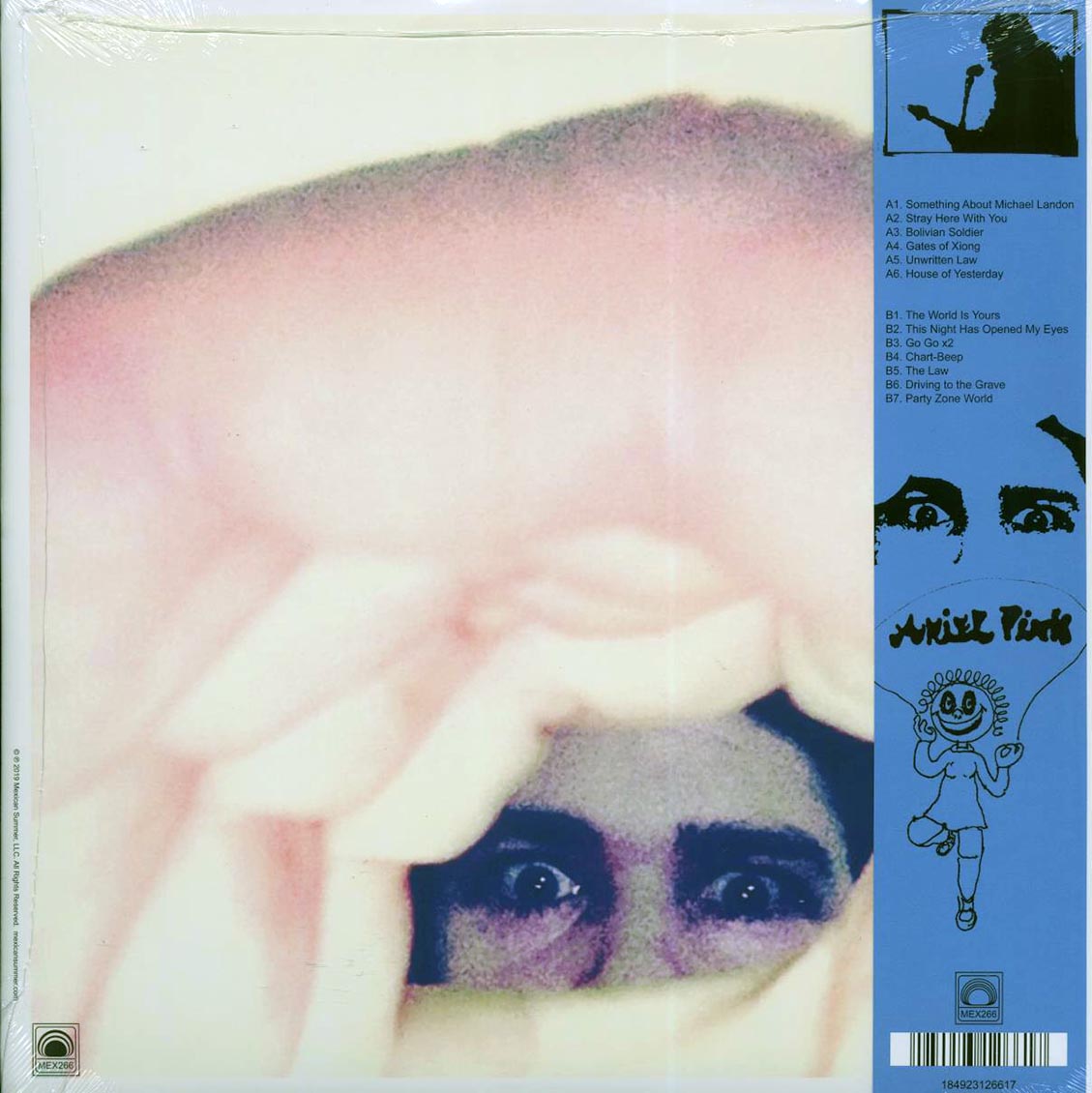 Ariel Pink's Huanted Graffiti - Oddities Sodomies Volume 2