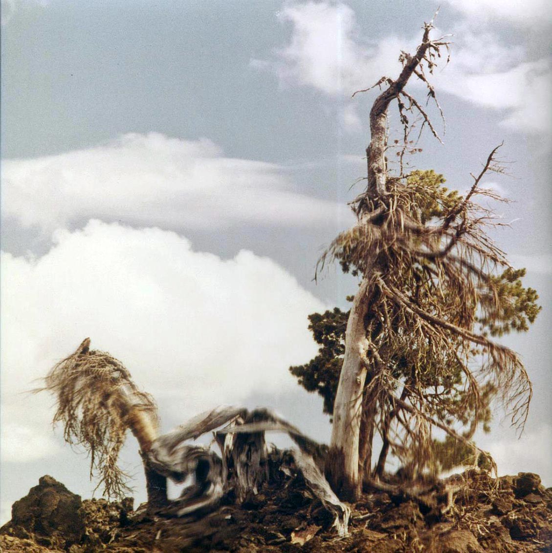 People Of The North - Steep Formations (2xLP)