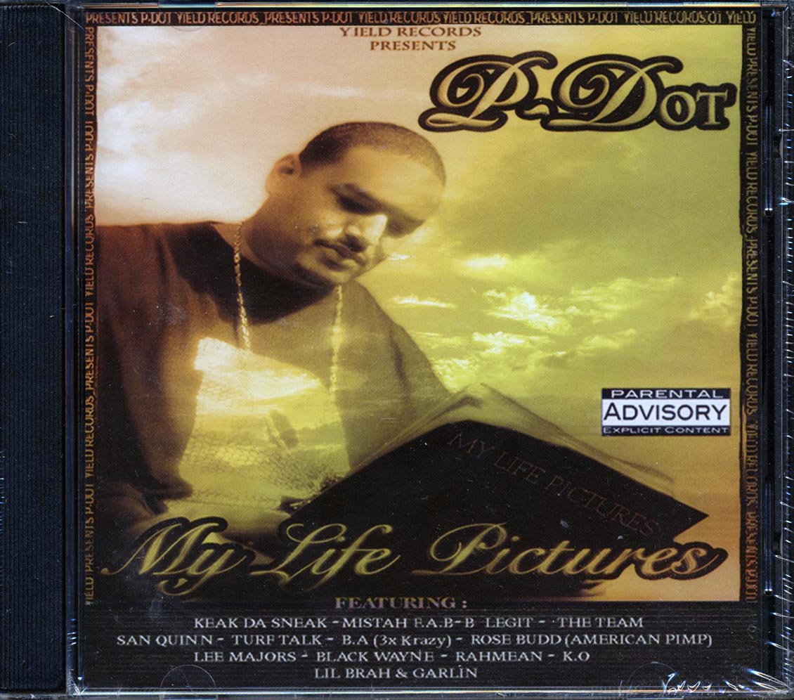P-Dot - My Life Pictures