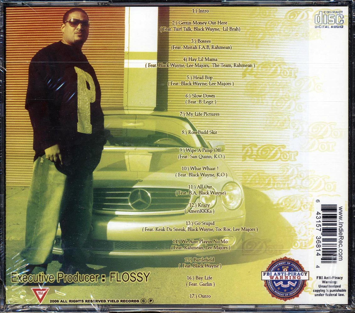 P-Dot - My Life Pictures