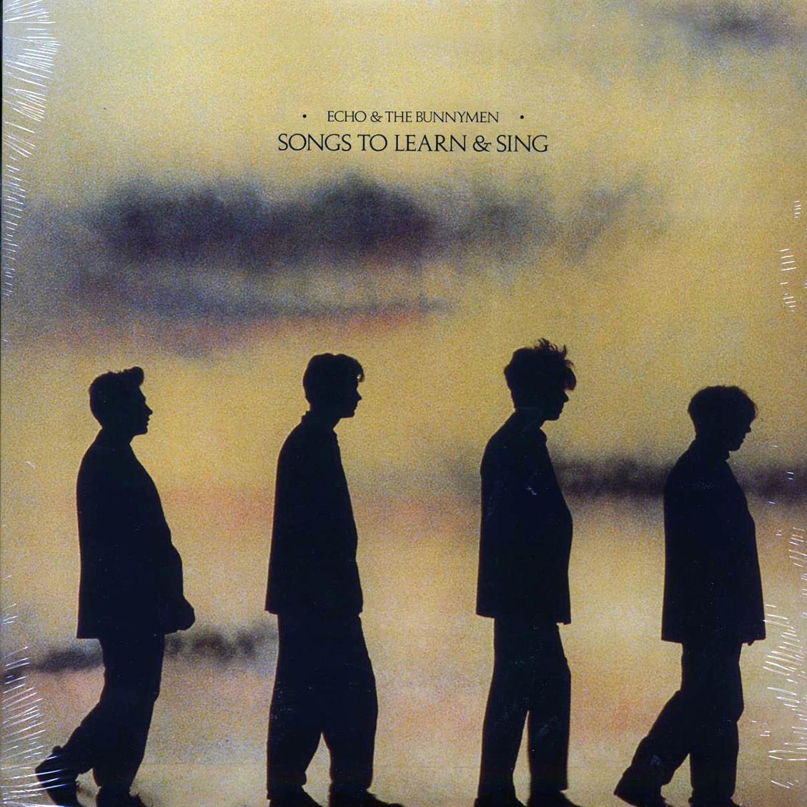 Echo & The Bunnymen - Songs To Learn & Sing (180g)