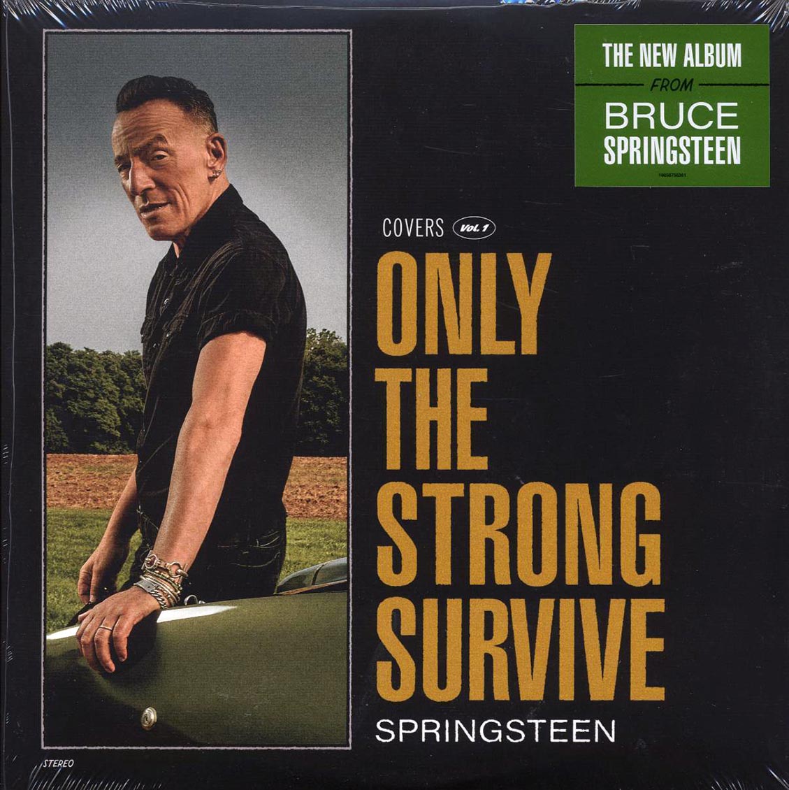 Bruce Springsteen - Only The Strong Survive (2xLP)
