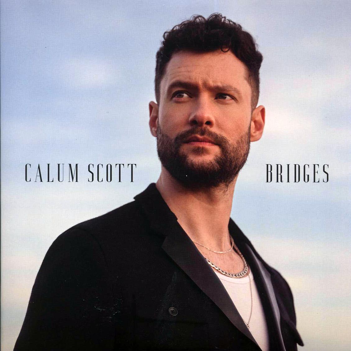 Calum Scott - Bridges (2xLP)