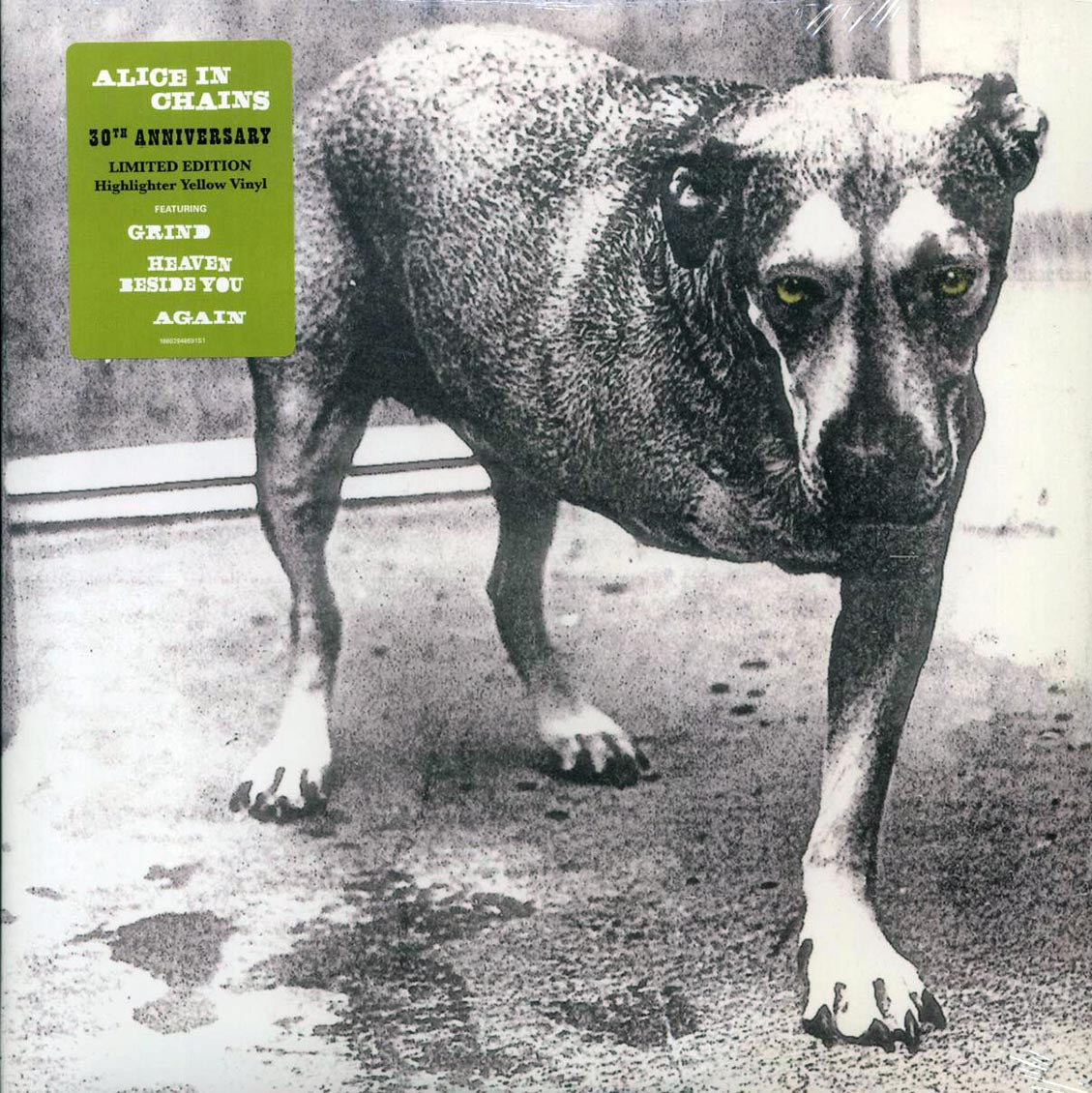 Alice In Chains - Alice In Chains (30th Anniv. Ed.) (ltd. ed.) (2xLP) (yellow vinyl)