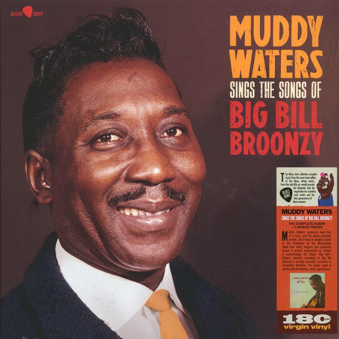 Muddy Waters - Sings The Songs Of Big Bill Broonzy (+5 bonus tracks) (ltd. ed.) (180g)