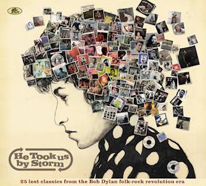 VARIOUS ARTISTS - HE TOOK US BY STORM: 25 LOST CLASSICS FROM THE BOB DYLAN FOLK-ROCK REVOLUTION ERA