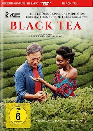 BLACK TEA - BLACK TEA