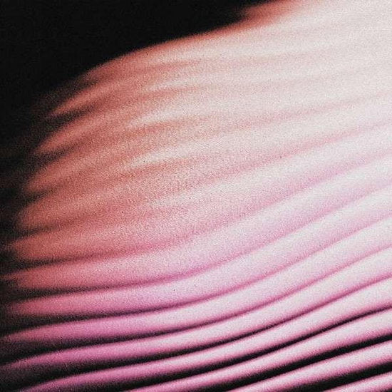 POLAR - EVERYTHING, EVERYWHERE
