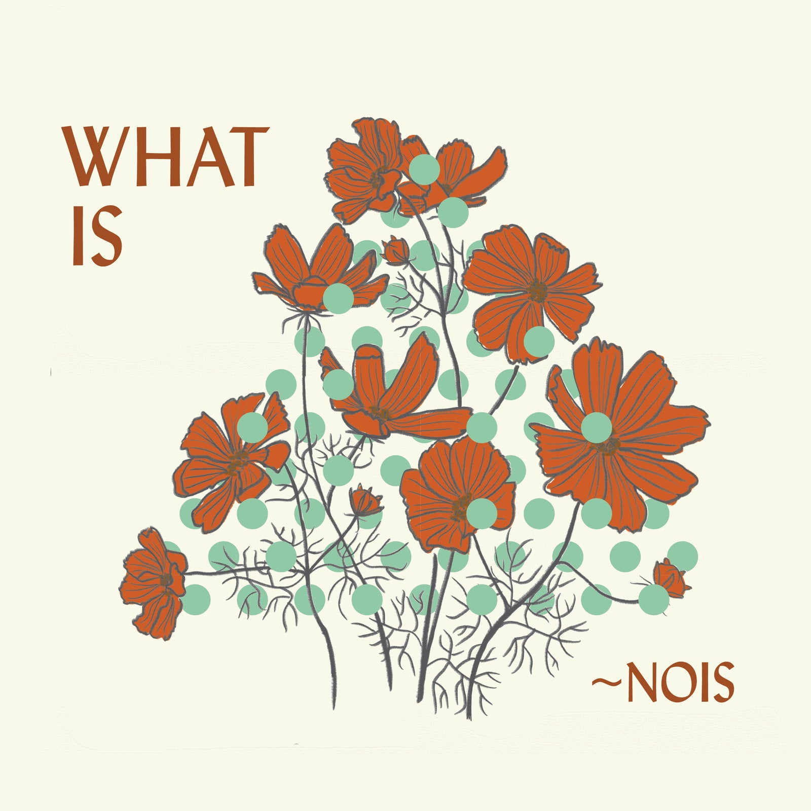 NOIS - WHAT IS NOIS?