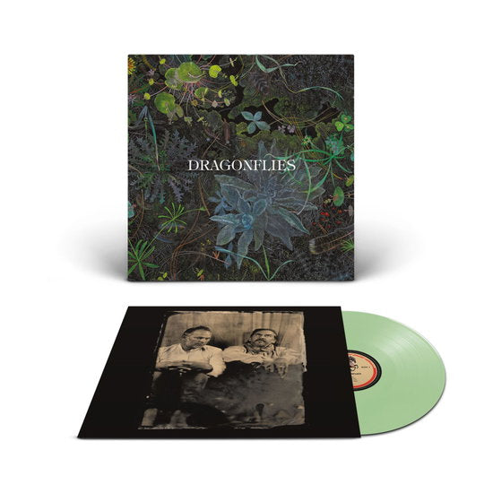 DRAGONFLIES - DRAGONFLIES