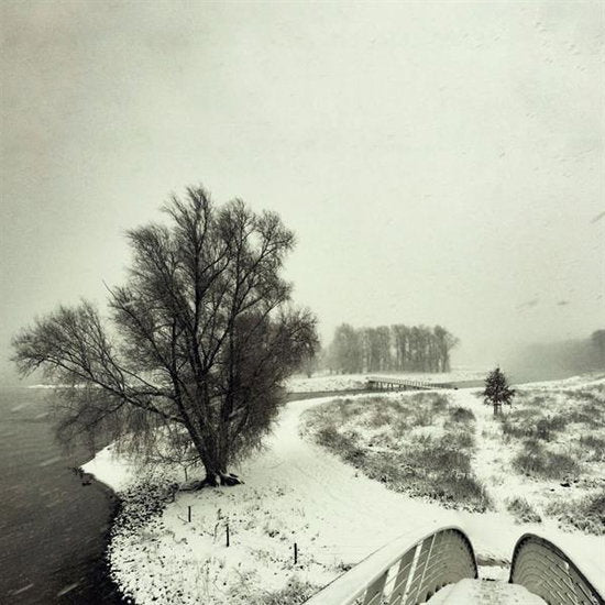 BEEQUEEN - WINTER
