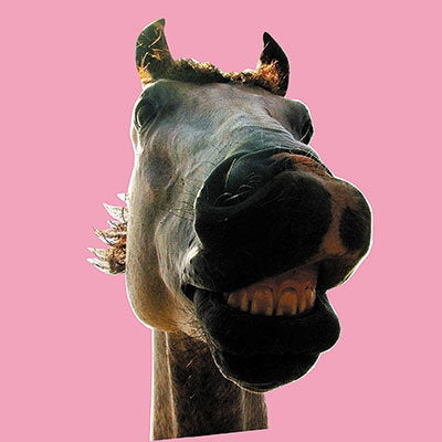 HIGH-LOWS - DO!!THE MUSTANG (REMASTERING/2LP)