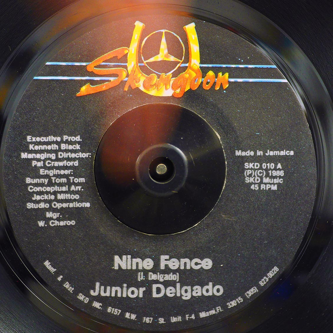 Jr. Delgado - Nine Fence  /  Skengdon All Stars - Paint The Fence (orig. press)