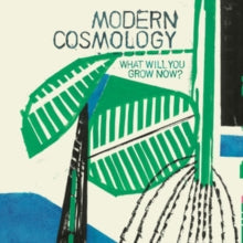 Modern Cosmology - What Will You Grow Now? (import)