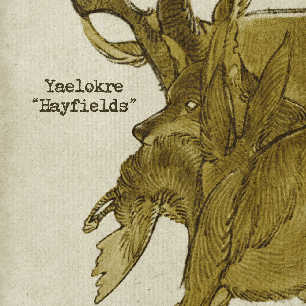 YAELOKRE - HAYFIELDS