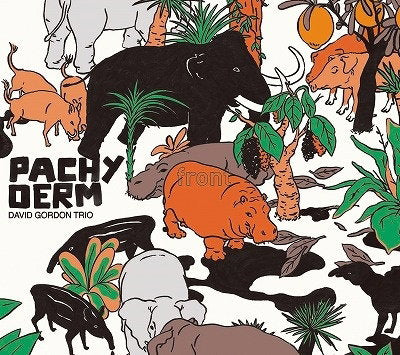 GORDON,DAVID TRIO - PACHYDERM