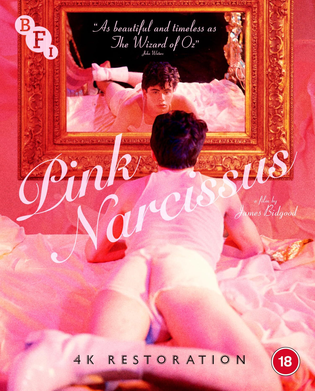 PINK NARCISSUS - PINK NARCISSUS