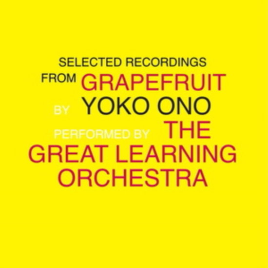 ONO,YOKO & THE GREAT LEARNING ORCHESTRA - SELECTED RECORDINGS FROM GRAPEFRUIT (2LP)