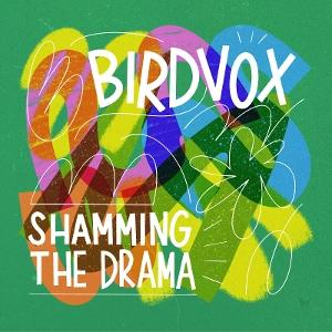 BIRDVOX - SHAMMING THE DRAMA (BABY BLUE VINYL)