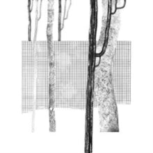 Various Arists - Systema Naturae I