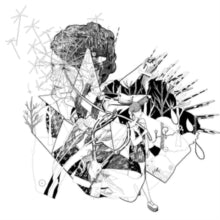 Hoop,jesca - Selective Memory