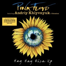 Pink Floyd Feat. Andriy Khlyvnyuk Of Boombox - Hey Hey Rise Up