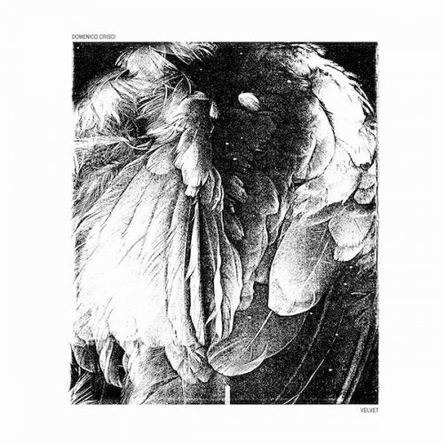 CRISCI,DOMENICO - VELVET
