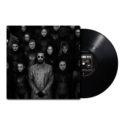 JPEGMAFIA - EXPERIMENTAL RAP (2LP)