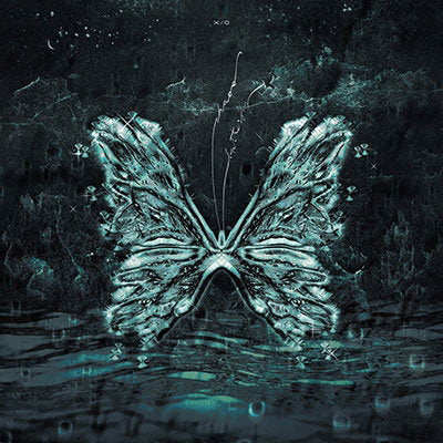 X/O - CHAOS BUTTERFLY