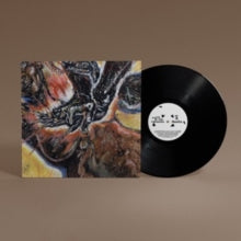 Shungu - Faith In The Unknown