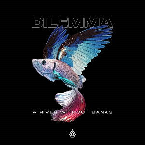 DILEMMA - RIVER WITHOUT BANKS