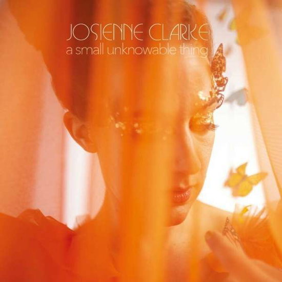 CLARKE,JOSIENNE - SMALL UNKNOWABLE THING