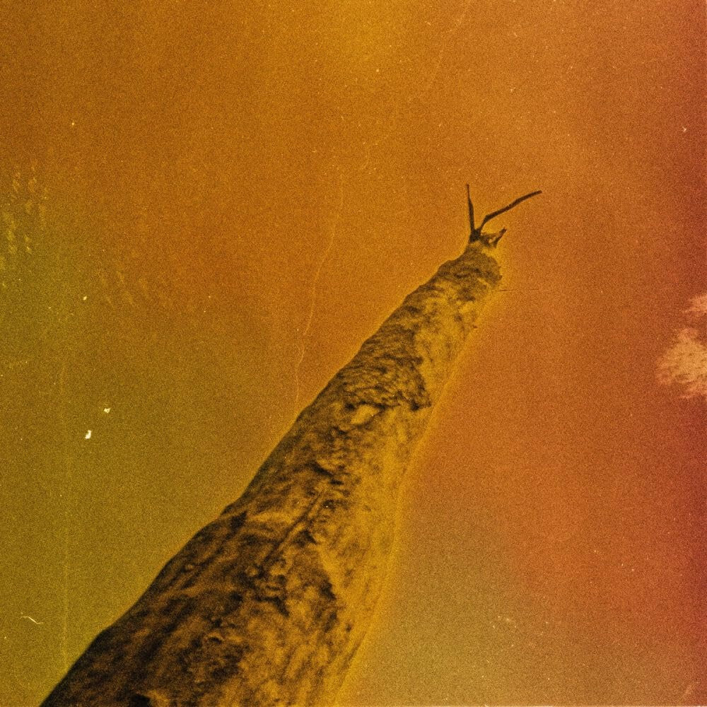 OBERLAND,FREDERIC D; GREGORY DARGENT; TONY ELIEH; WASSIM HALAL - SIHR