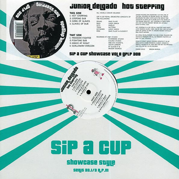 Jr. Delgado - Hot Stepping (2009 FIRST PRESS) (orig. press)