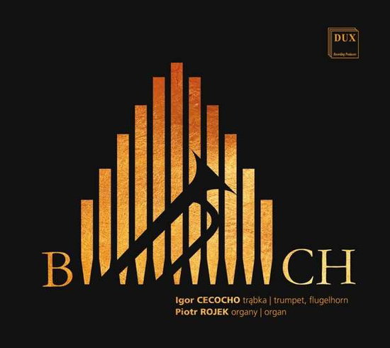 IGOR CECOCHO; PIOTR ROJEK - BACH: TRANSCRIPTIONS FOR TRUMPET & ORGAN