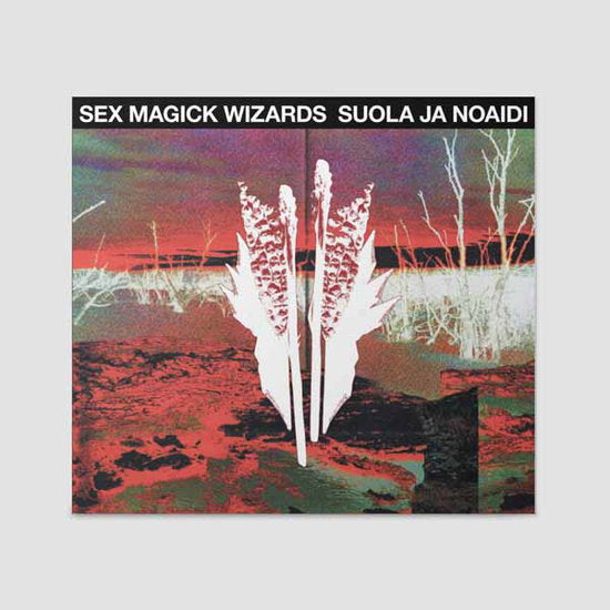 SEX MAGICK WIZARDS - SUOLA JA NOAIDI