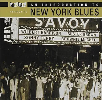 Buster Brown, Billy Lewis, Titus Tee Turner, Etc. - An Introduction To New York Blues - CD