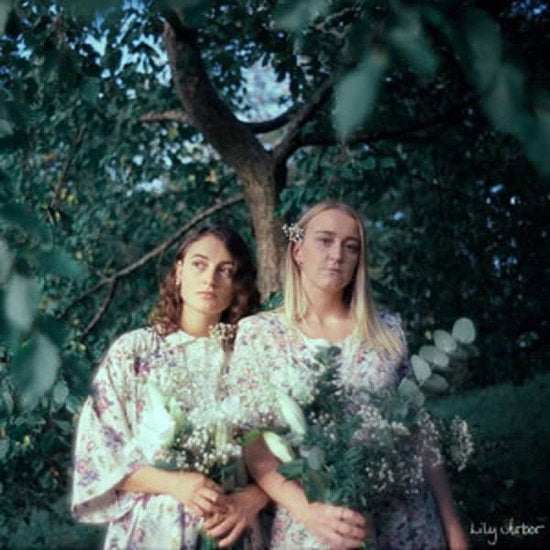 ARBOR,LILY - LILY ARBOR