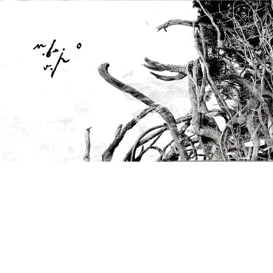 BUNGET,NEGURA - VIRSTELE PAMINTULUI