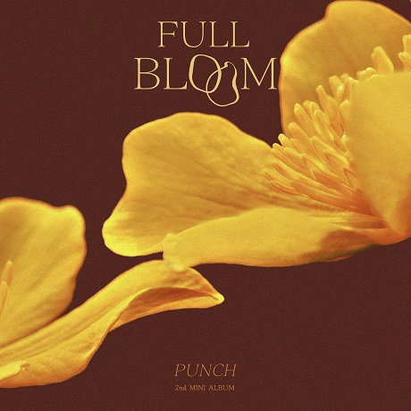 PUNCH - FULL BLOOM