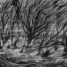 Bismuth - Eternal Marshes