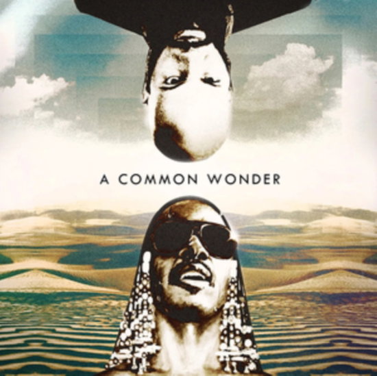 CMMON - VS STEVIE