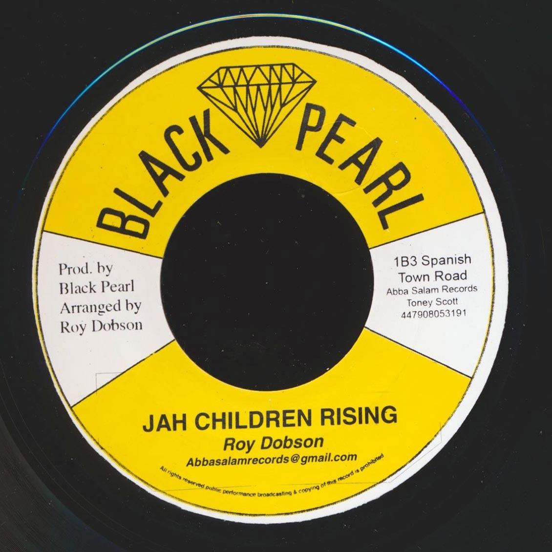 Roy Dobson - Jah Children Rising  /  Version